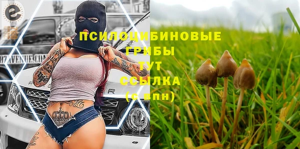 бошки Арсеньев