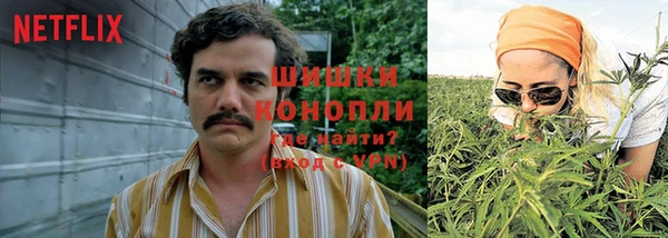 бошки Арсеньев