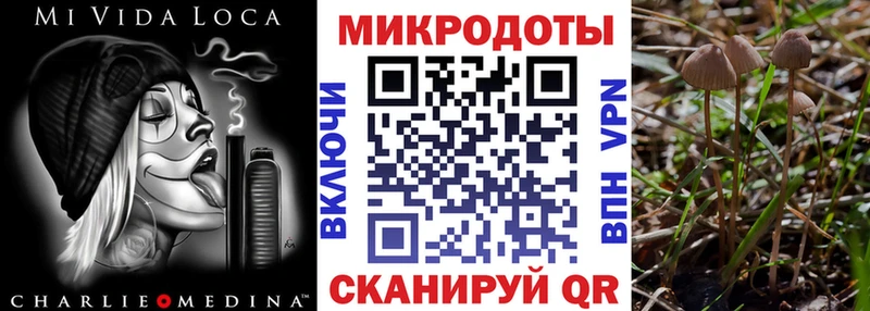 Псилоцибиновые грибы MAGIC MUSHROOMS  Купить где  Рошаль 